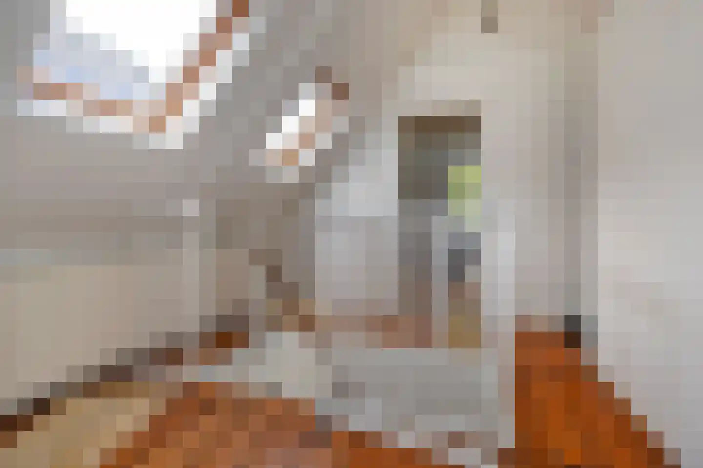 Noorderbuitensingel 29 Groningen thumbnail 49