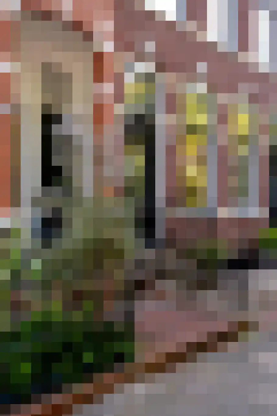 Noorderbuitensingel 29 Groningen thumbnail 5
