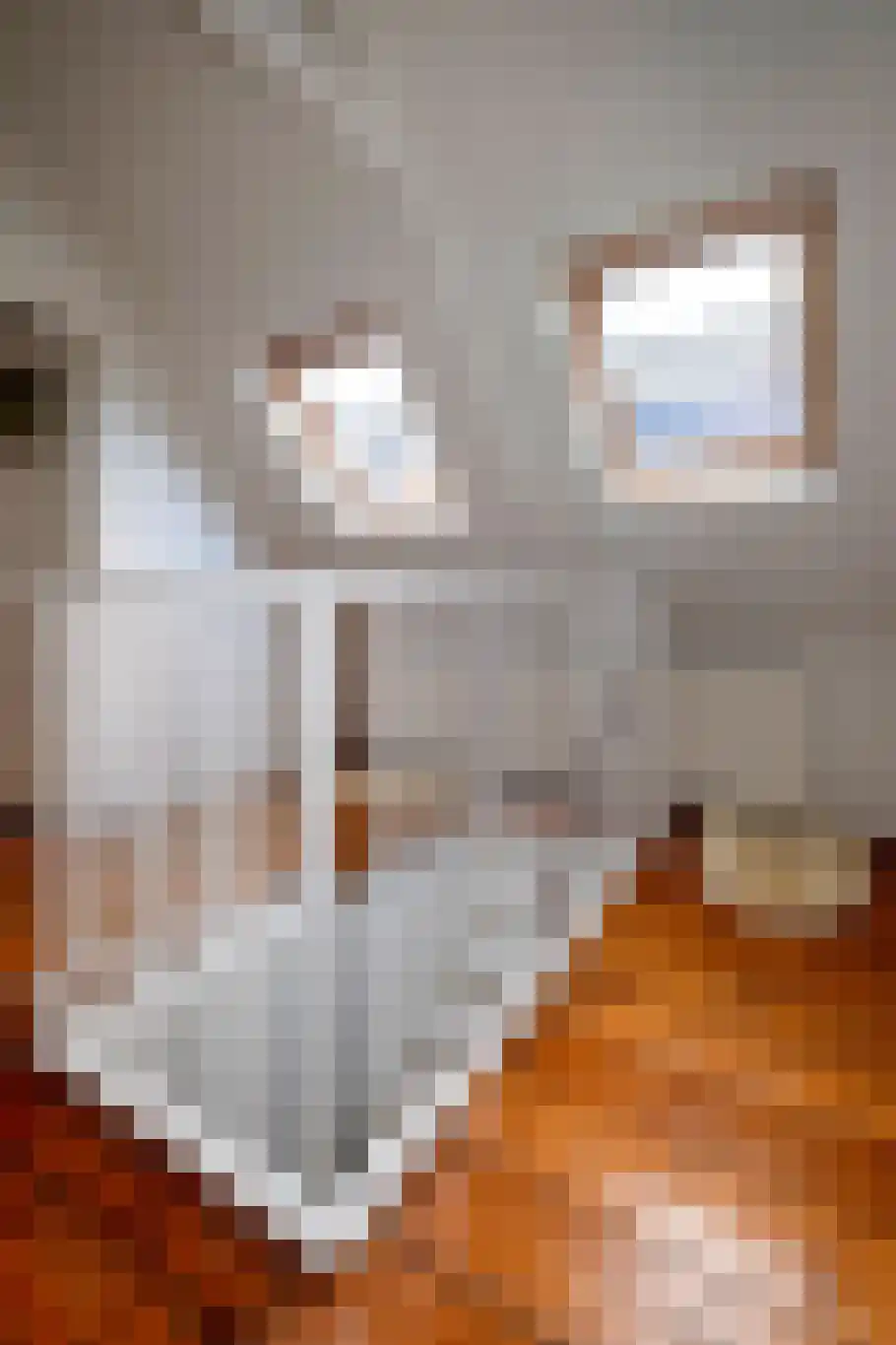 Noorderbuitensingel 29 Groningen thumbnail 53