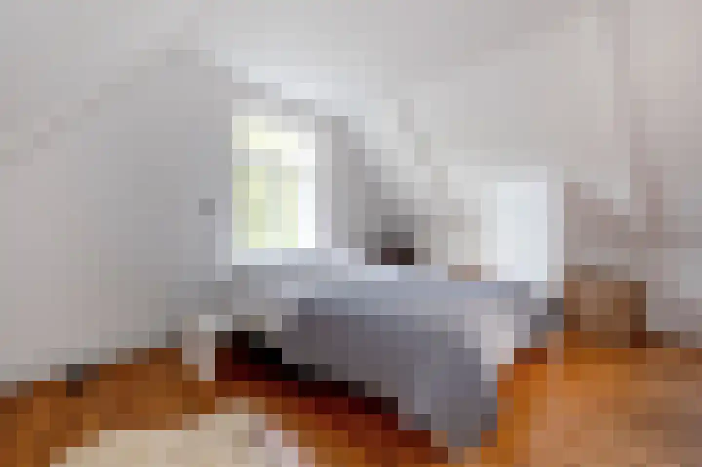 Noorderbuitensingel 29 Groningen thumbnail 54