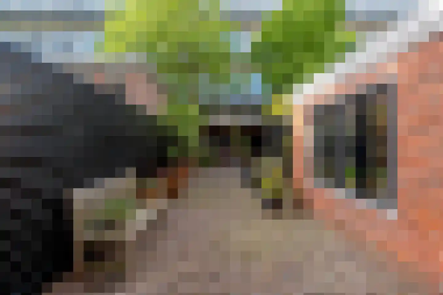 Noorderbuitensingel 29 Groningen thumbnail 56
