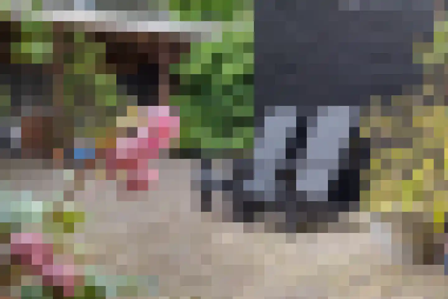 Noorderbuitensingel 29 Groningen thumbnail 57