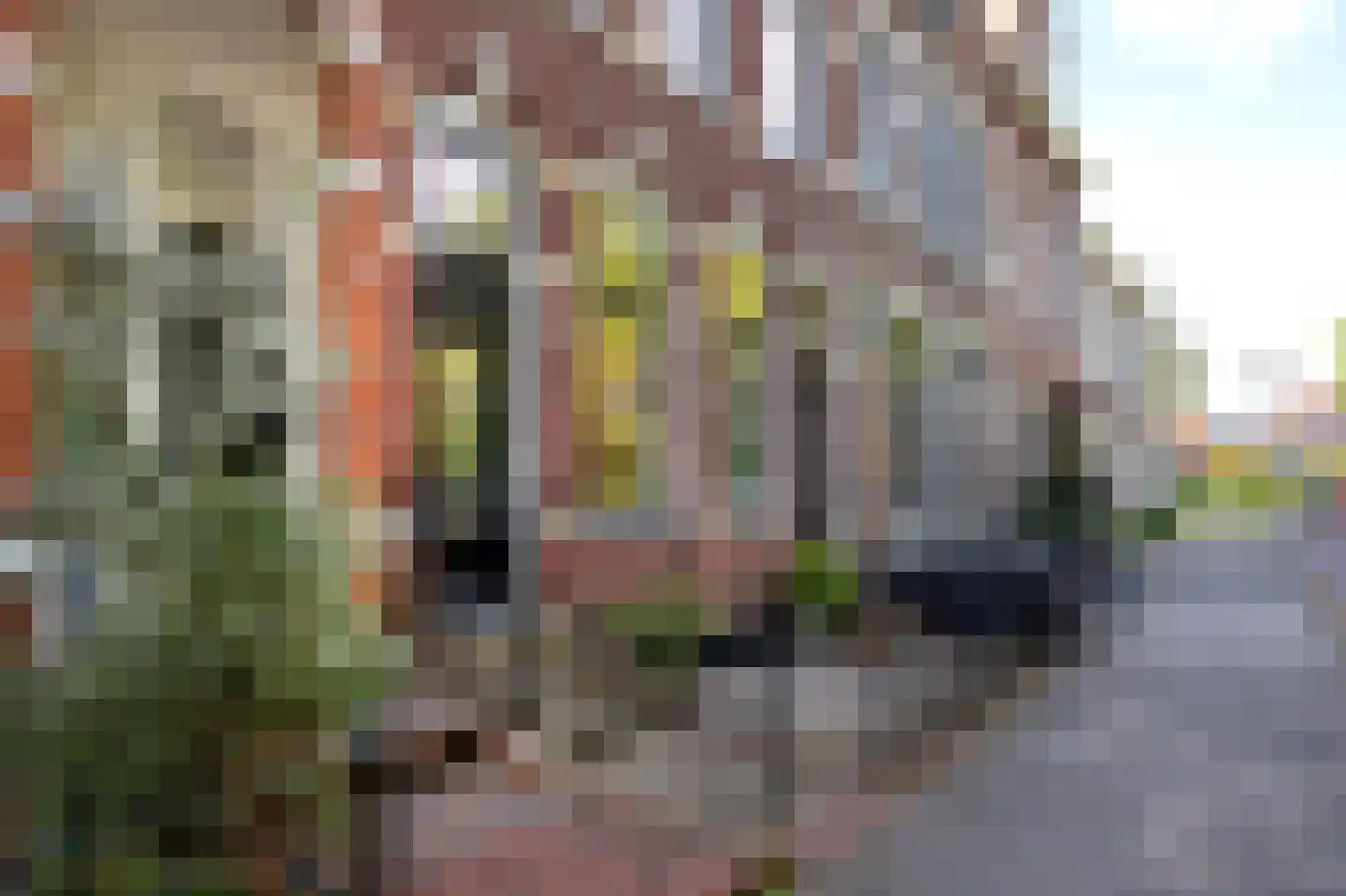 Noorderbuitensingel 29 Groningen thumbnail 6