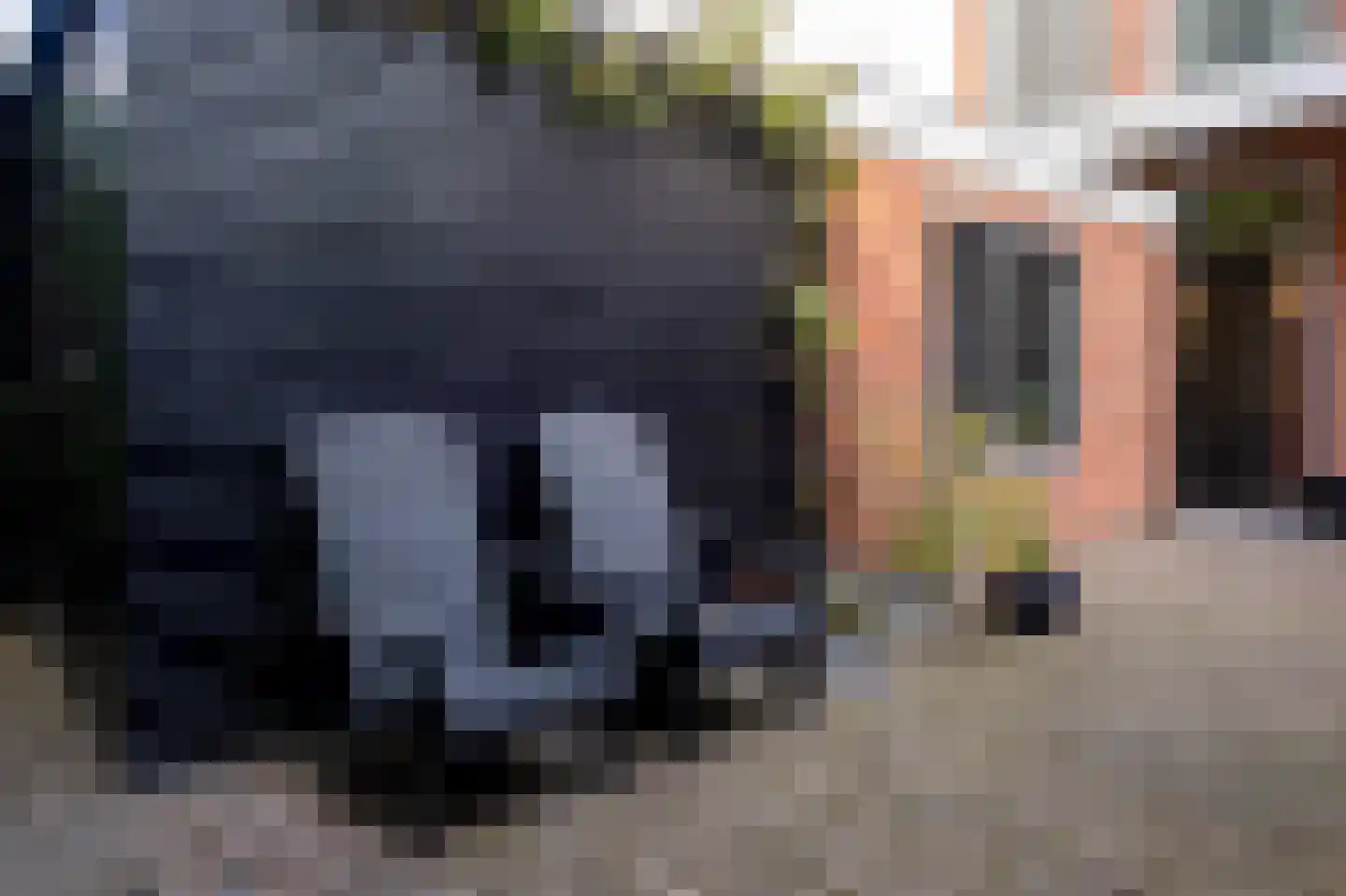 Noorderbuitensingel 29 Groningen thumbnail 62