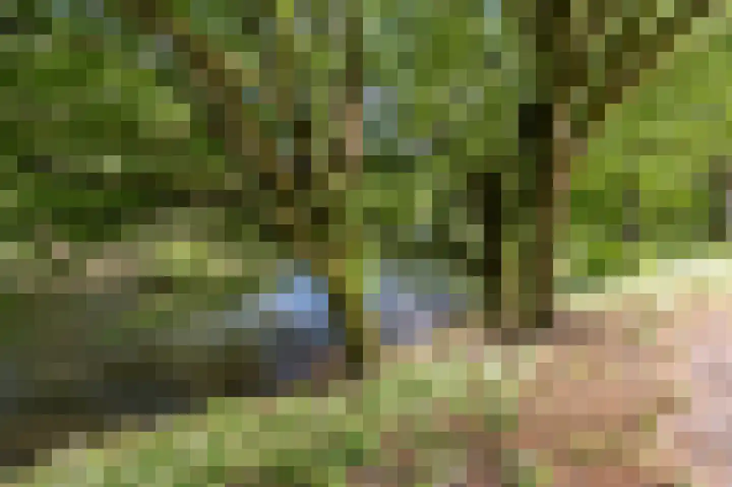 Noorderbuitensingel 29 Groningen thumbnail 66