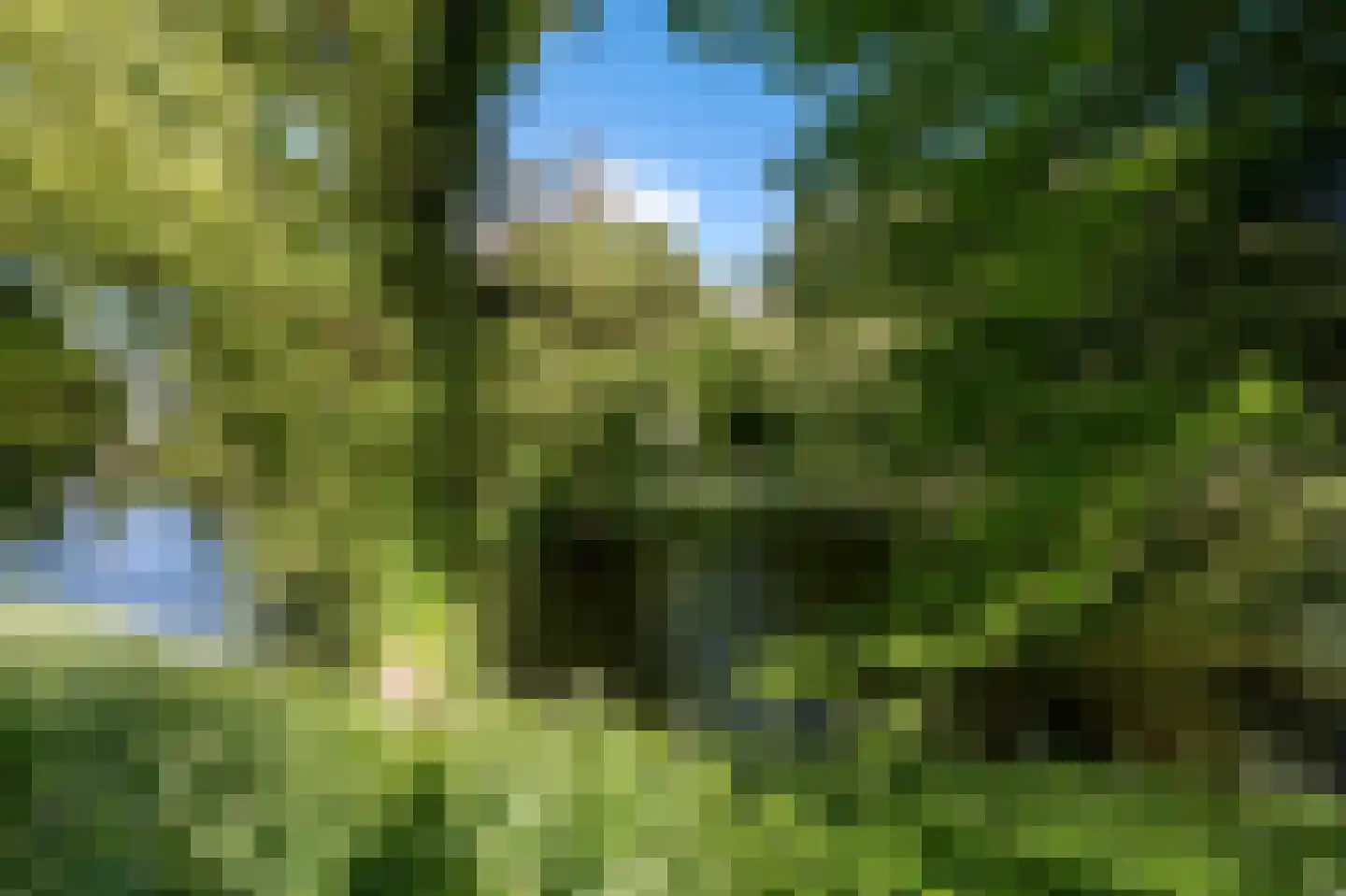 Noorderbuitensingel 29 Groningen thumbnail 67