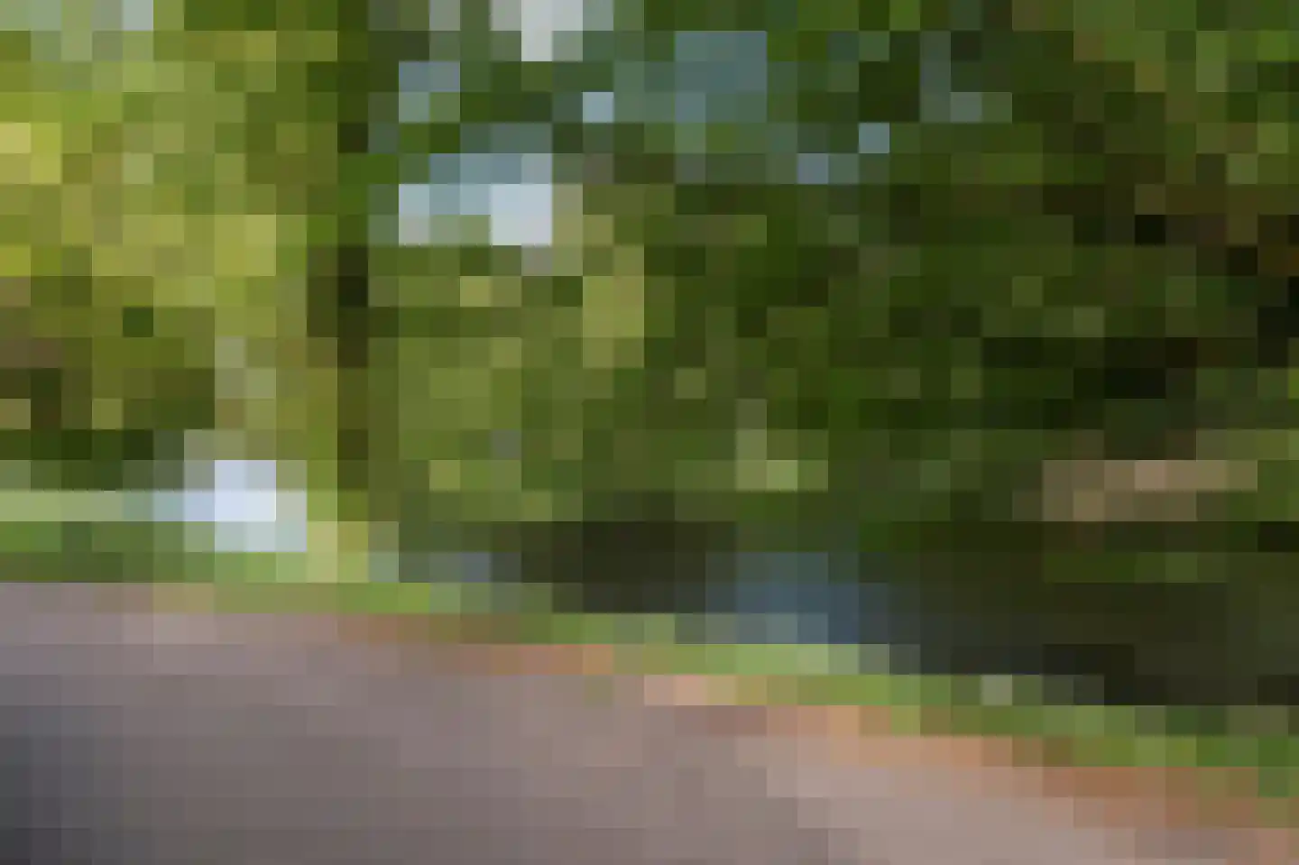 Noorderbuitensingel 29 Groningen thumbnail 8