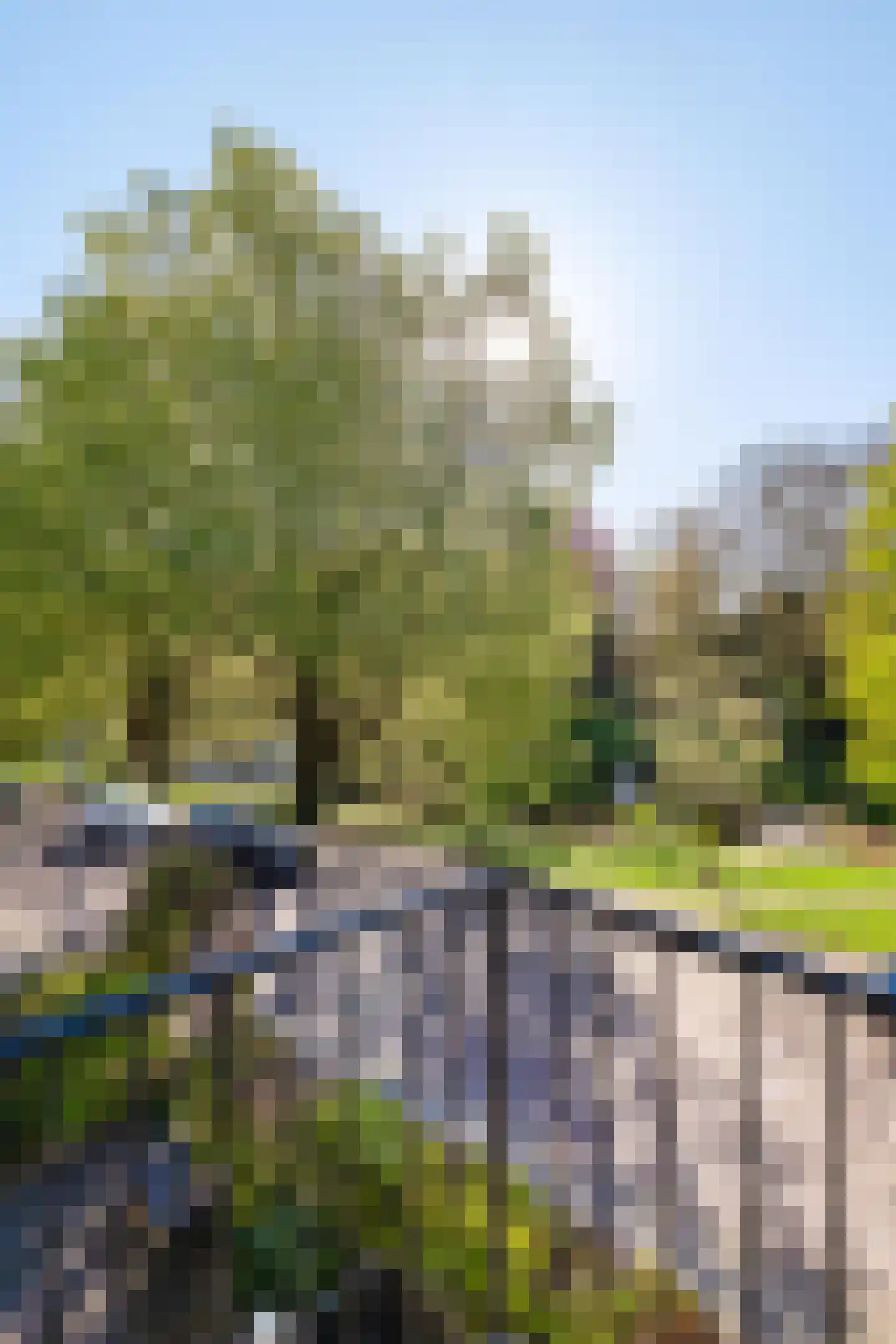 Noorderbuitensingel 38 a Groningen thumbnail 10