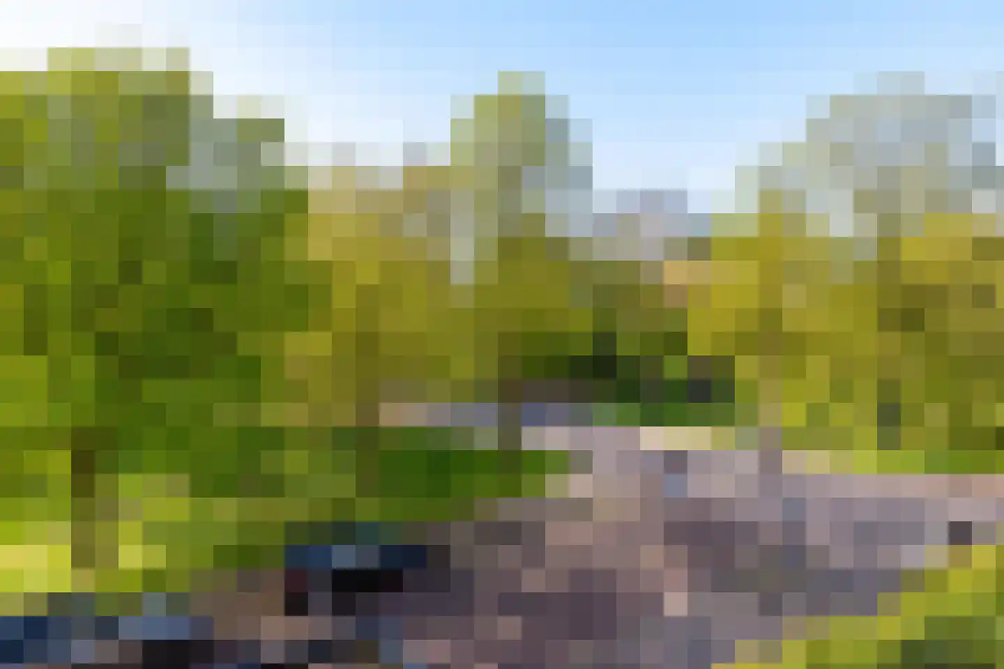 Noorderbuitensingel 38 a Groningen thumbnail 11