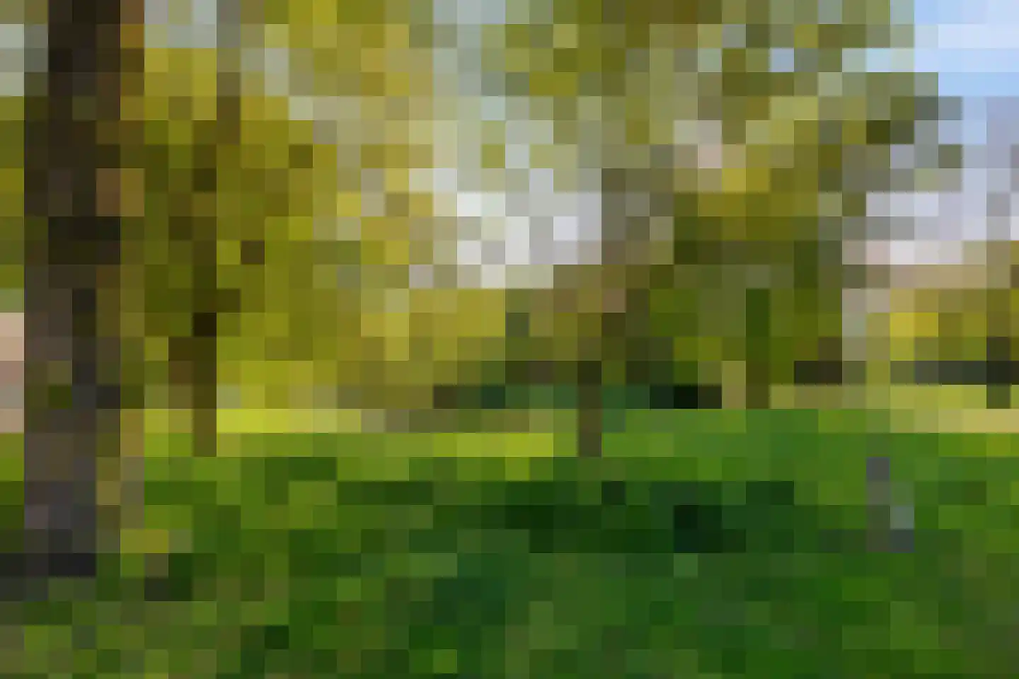 Noorderbuitensingel 38 a Groningen thumbnail 40