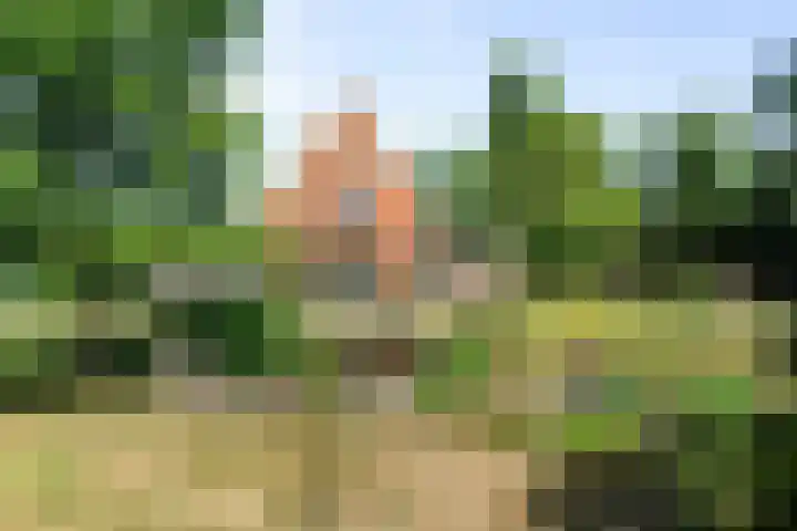 Noorderbuurt 17 Westerland thumbnail 5
