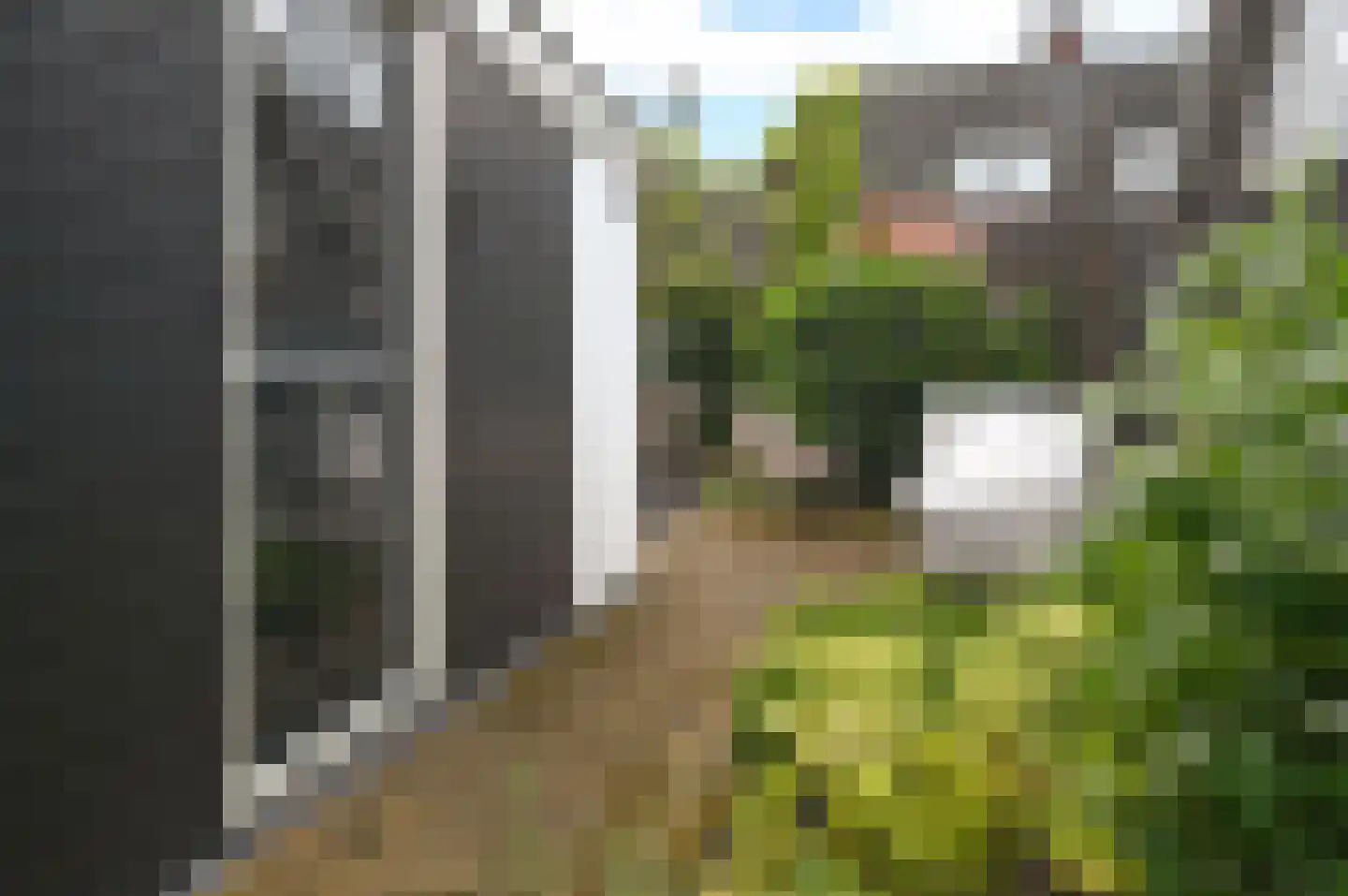Noorderbuurt 3 Huizen thumbnail 25