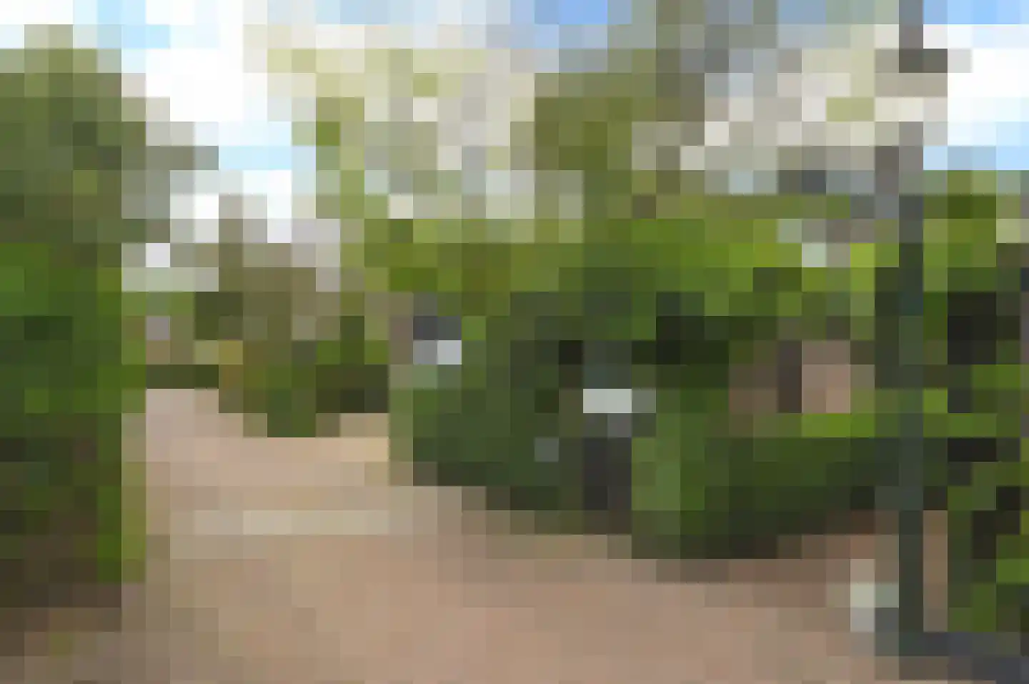 Noorderbuurt 3 Huizen thumbnail 29