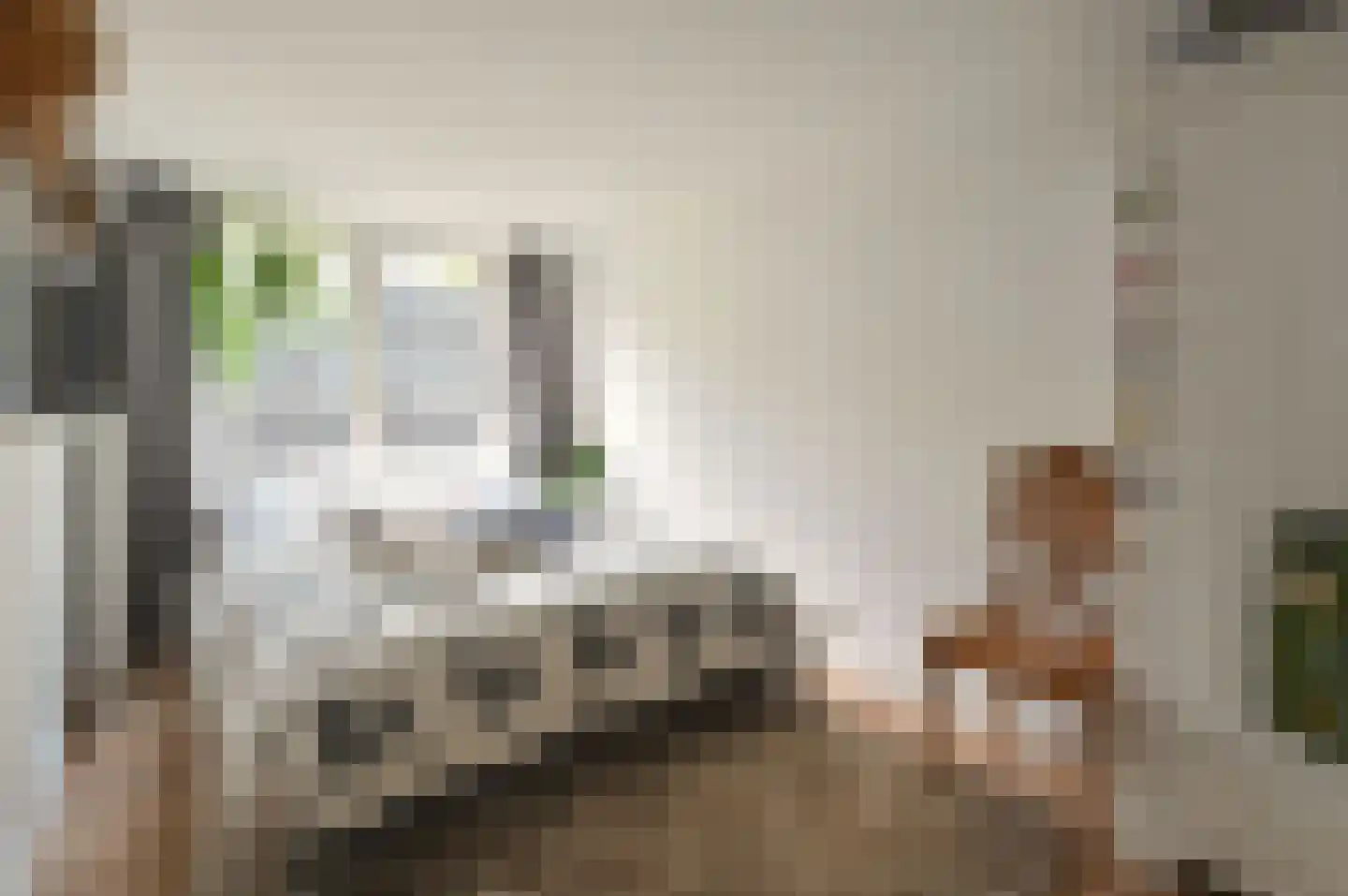 Noorderbuurt 3 Huizen thumbnail 7