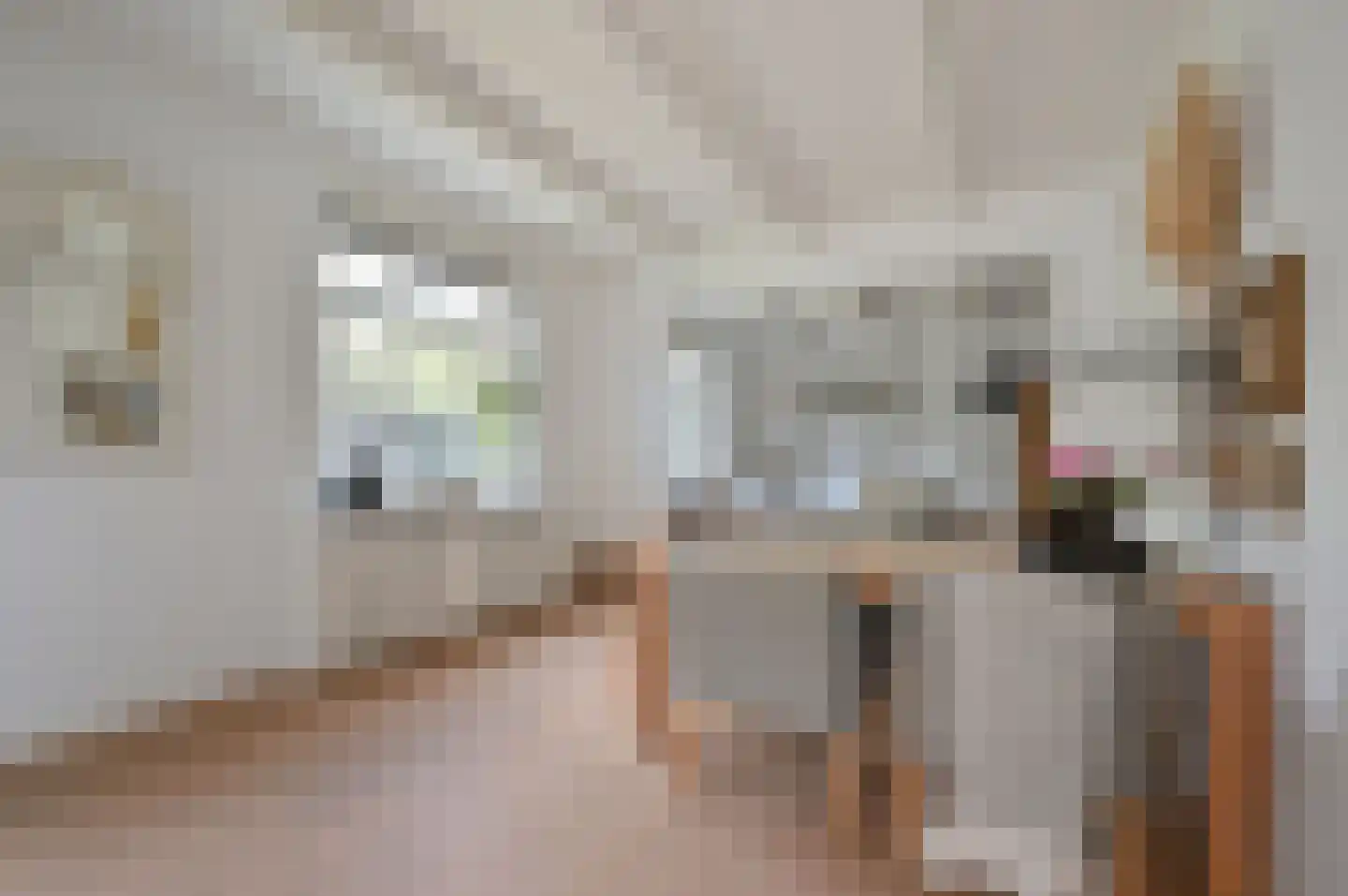 Noorderbuurt 3 Huizen thumbnail 8