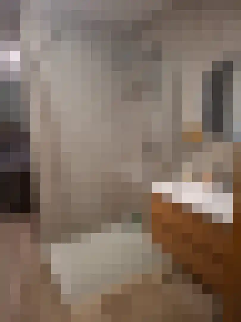 Noordercolonie 40 Nieuwe Pekela thumbnail 11