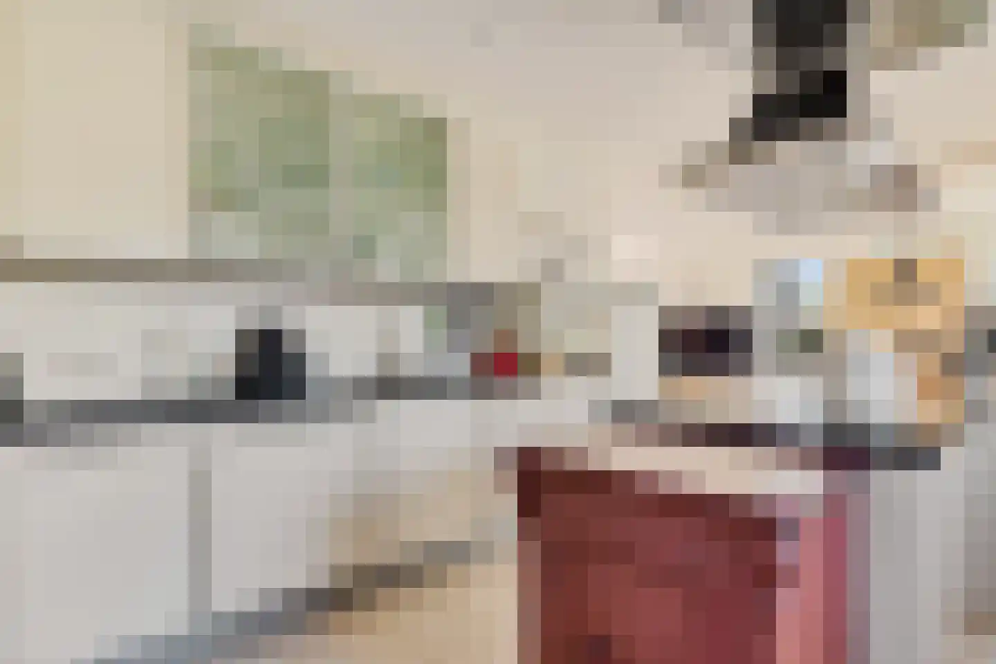 Noordercolonie 40 Nieuwe Pekela thumbnail 15