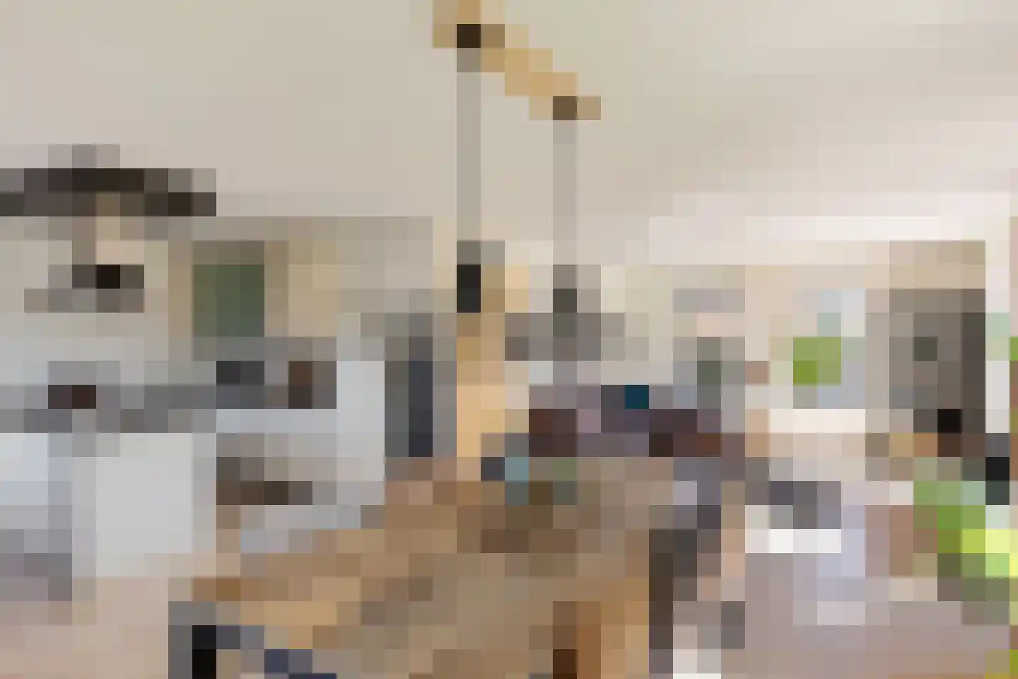 Noordercolonie 40 Nieuwe Pekela thumbnail 20