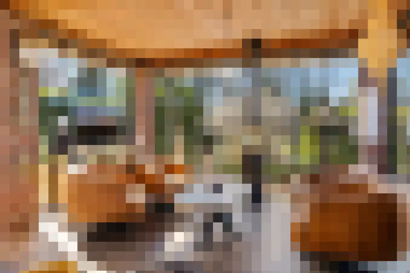 Noordercolonie 40 Nieuwe Pekela thumbnail 22