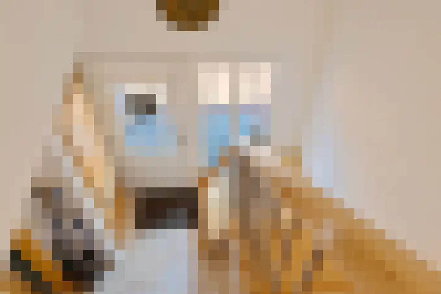 Noordercolonie 40 Nieuwe Pekela thumbnail 29