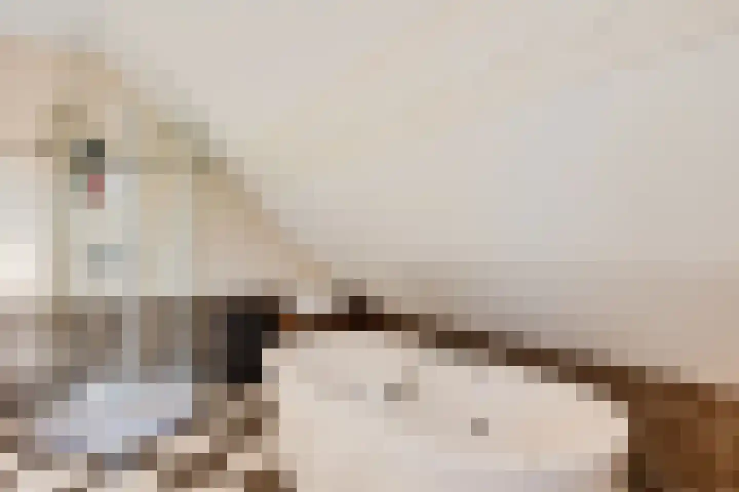 Noordercolonie 40 Nieuwe Pekela thumbnail 30