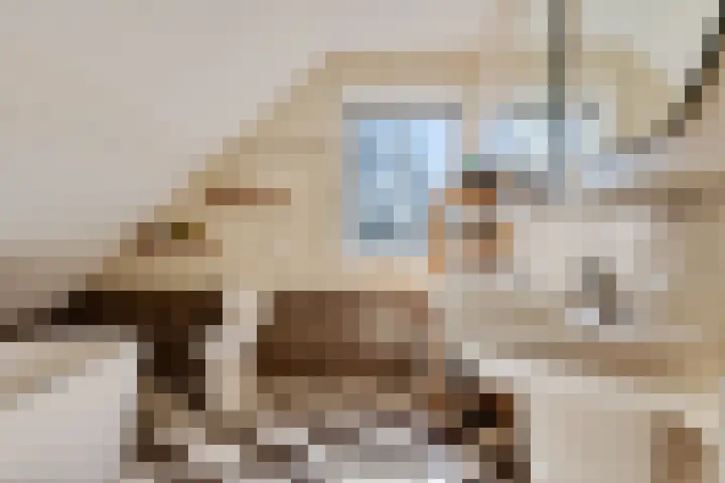 Noordercolonie 40 Nieuwe Pekela thumbnail 32