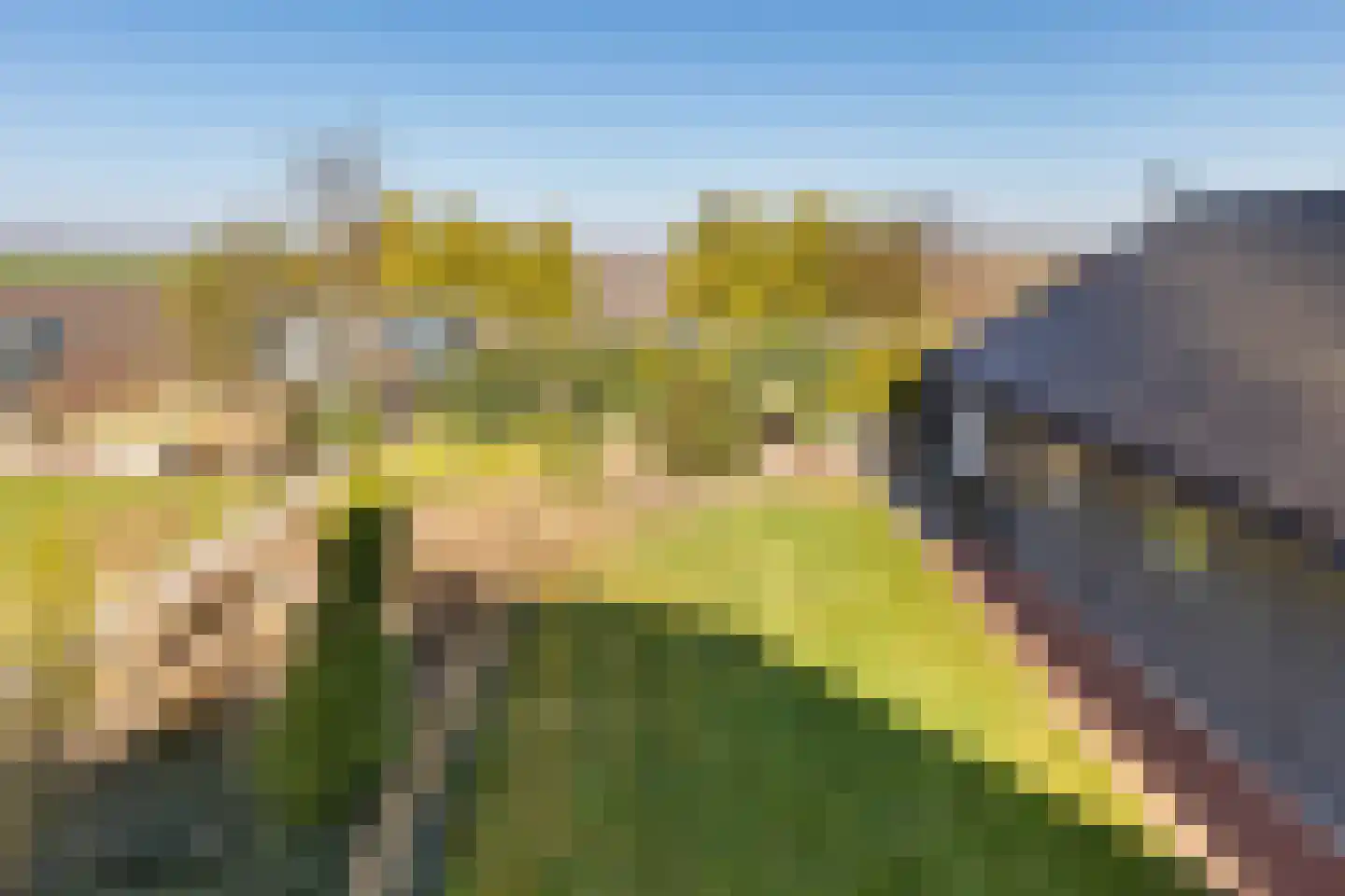 Noordercolonie 40 Nieuwe Pekela thumbnail 36