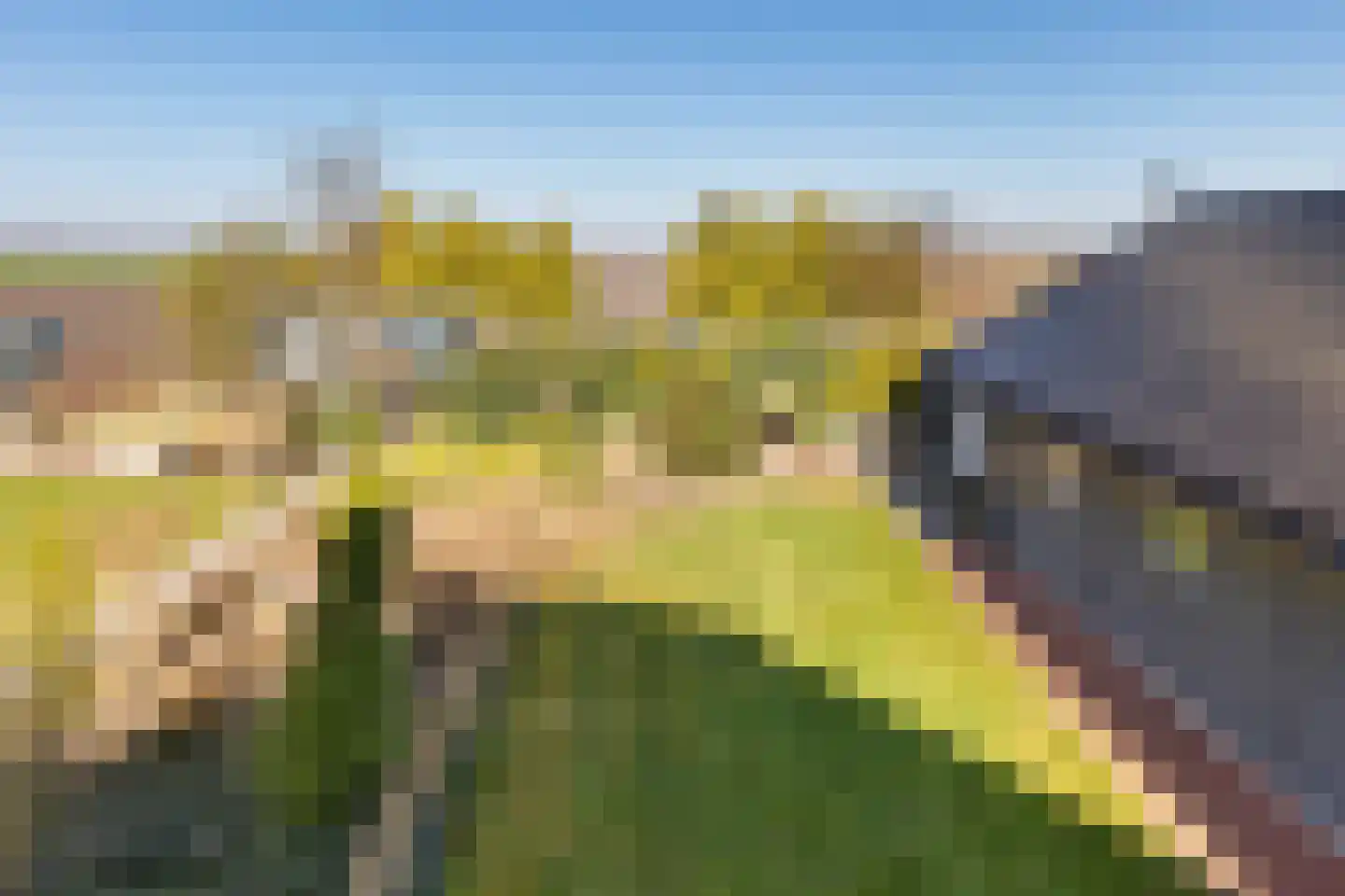 Noordercolonie 40 Nieuwe Pekela thumbnail 36