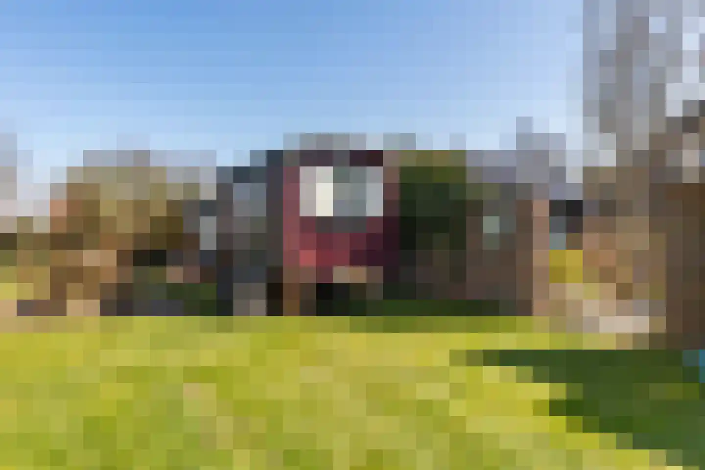 Noordercolonie 40 Nieuwe Pekela thumbnail 42