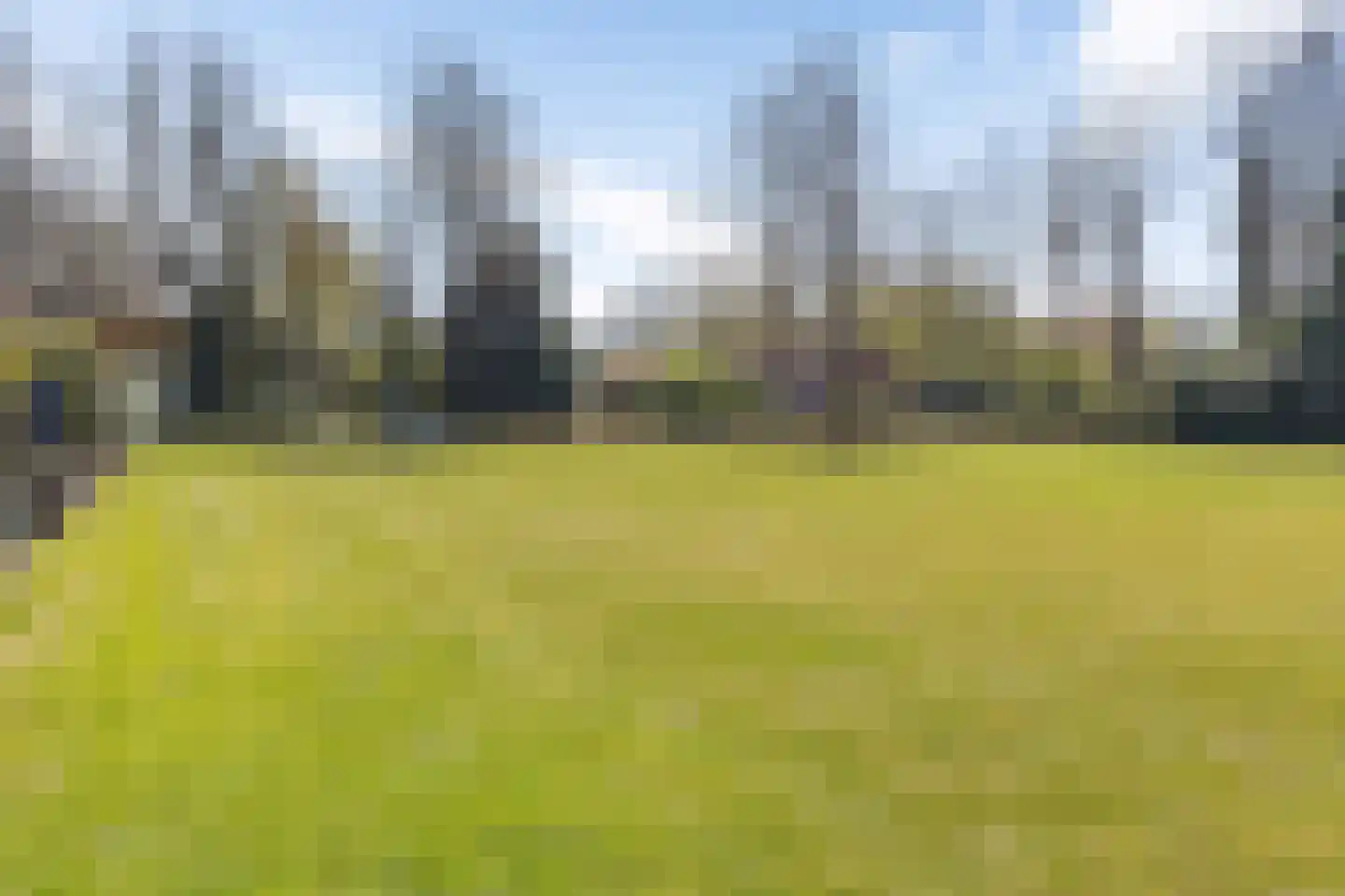 Noordercolonie 40 Nieuwe Pekela thumbnail 43