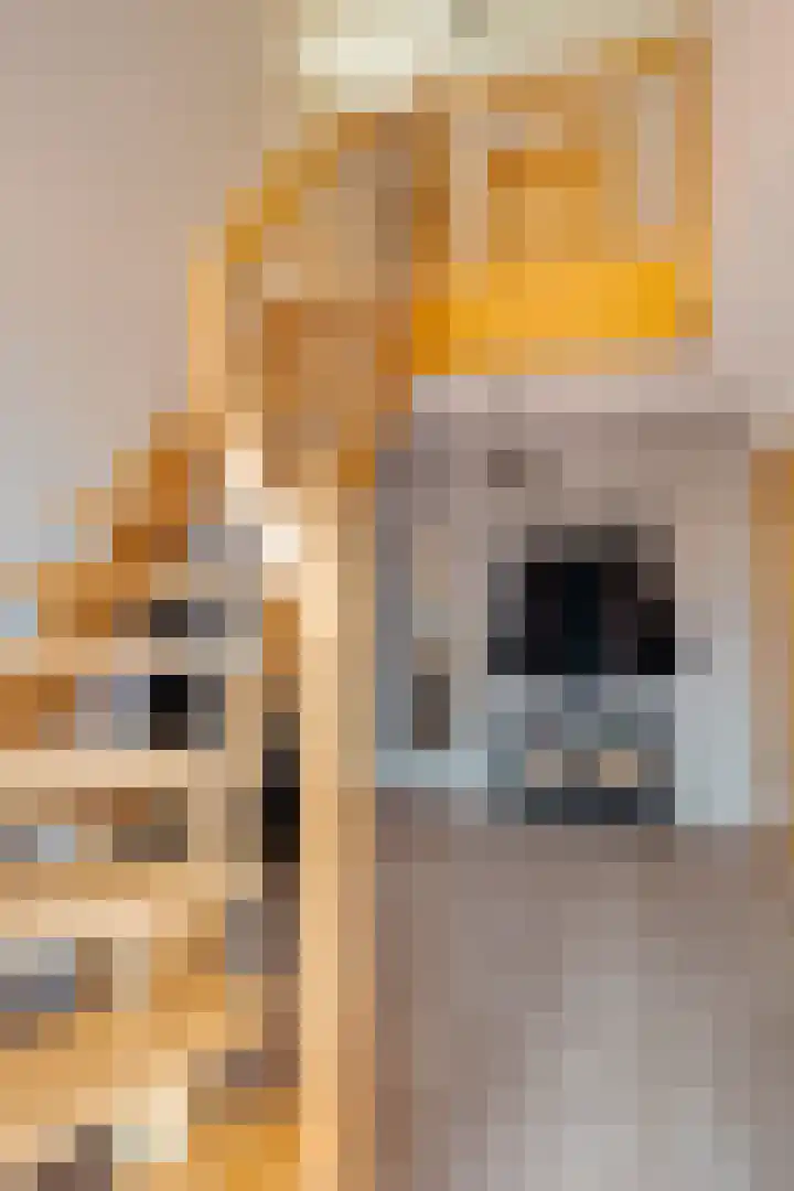 Noordercolonie 40 Nieuwe Pekela thumbnail 8