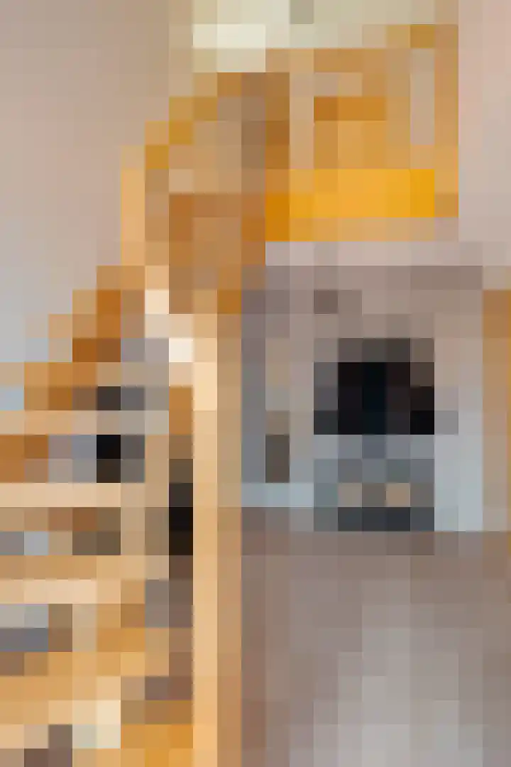 Noordercolonie 40 Nieuwe Pekela thumbnail 8