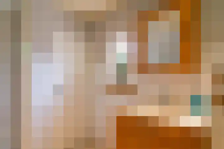 Noordercolonie 41 Nieuwe Pekela thumbnail 21