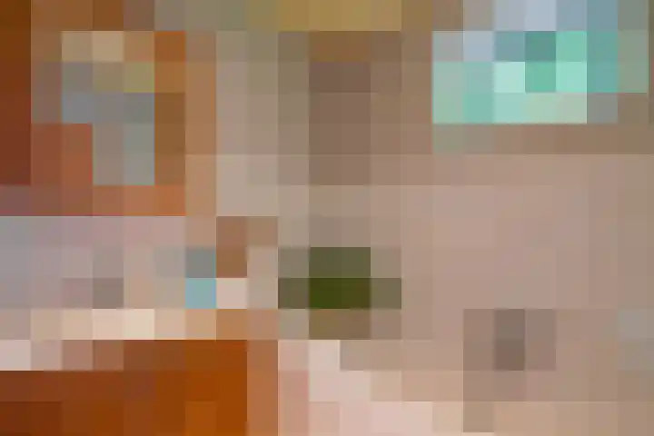 Noordercolonie 41 Nieuwe Pekela thumbnail 22