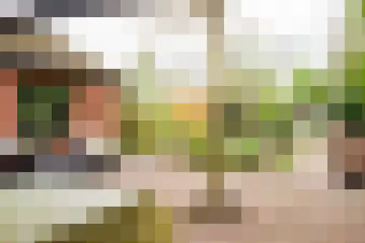 Noordercolonie 41 Nieuwe Pekela thumbnail 29