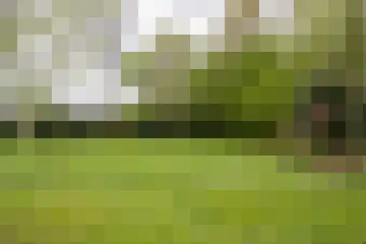 Noordercolonie 41 Nieuwe Pekela thumbnail 33
