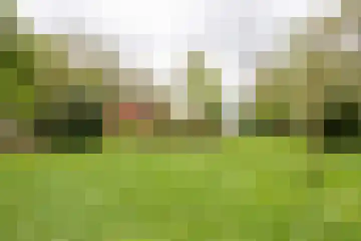 Noordercolonie 41 Nieuwe Pekela thumbnail 34