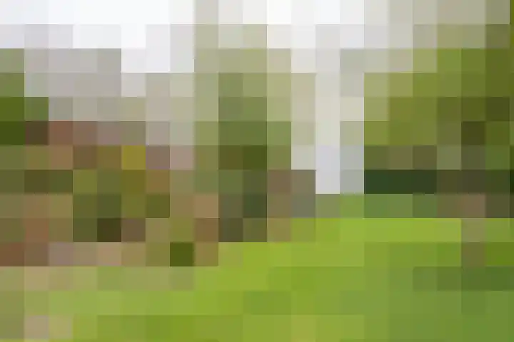 Noordercolonie 41 Nieuwe Pekela thumbnail 35