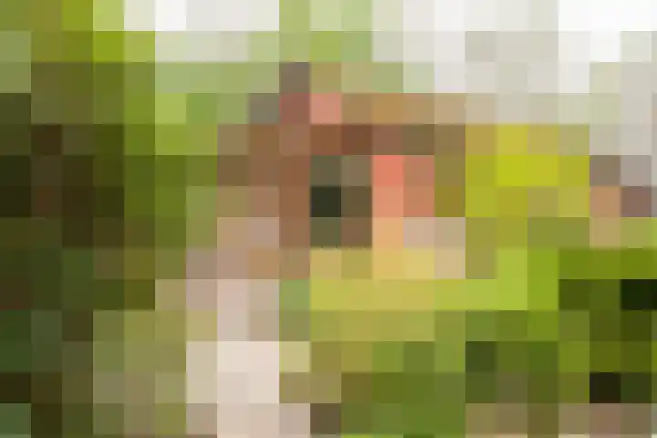 Noordercolonie 41 Nieuwe Pekela thumbnail 36