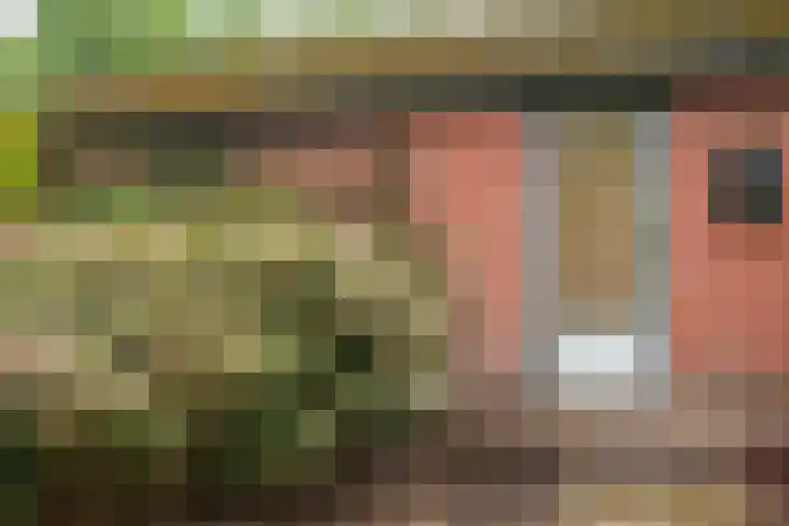 Noordercolonie 41 Nieuwe Pekela thumbnail 37