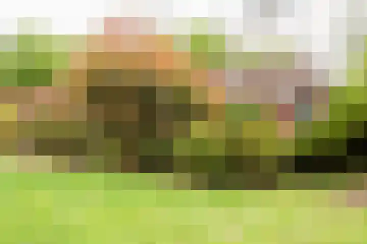 Noordercolonie 41 Nieuwe Pekela thumbnail 38