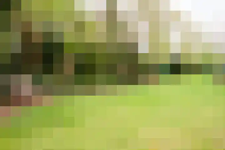 Noordercolonie 41 Nieuwe Pekela thumbnail 39
