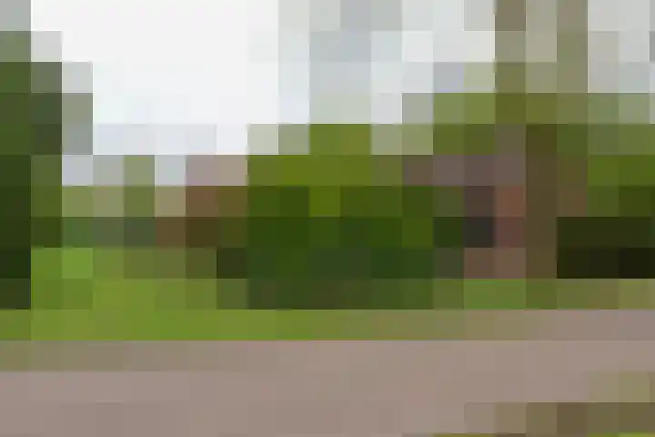 Noordercolonie 41 Nieuwe Pekela thumbnail 42