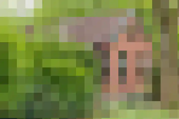 Noordercolonie 41 Nieuwe Pekela thumbnail 43