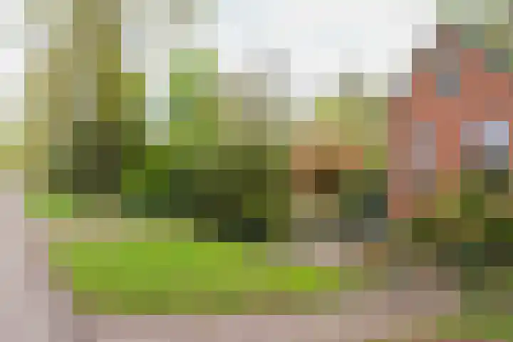 Noordercolonie 41 Nieuwe Pekela thumbnail 45