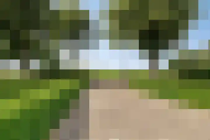 Noordercolonie 51 Nieuwe Pekela thumbnail 13