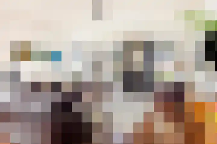 Noordercolonie 51 Nieuwe Pekela thumbnail 17