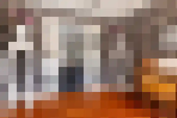Noordercolonie 51 Nieuwe Pekela thumbnail 26