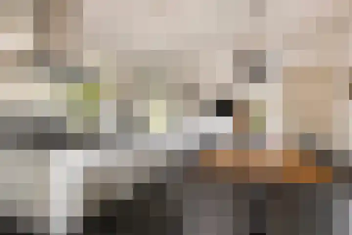 Noordercolonie 51 Nieuwe Pekela thumbnail 27