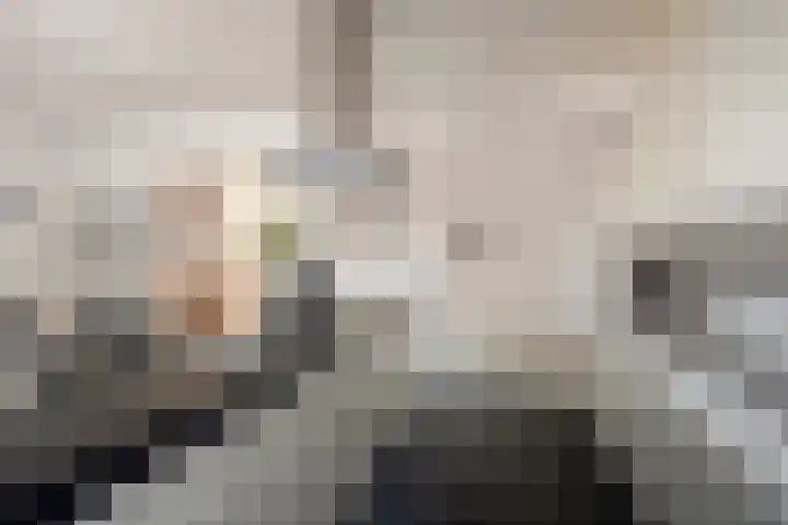 Noordercolonie 51 Nieuwe Pekela thumbnail 31